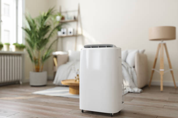 Best HVAC air duct cleaning  in Shady Shores, TX